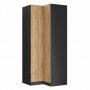 SN2 100/2357 Szafa narożna - Korpus: Czarny / Front: Dąb Złoty