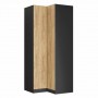 SN2 100/2357 Szafa narożna - Korpus: Czarny / Front: Dąb Hikora Naturalna