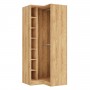 SN2 100/2357 Korpus Hikora Naturalna - Szafa narożna