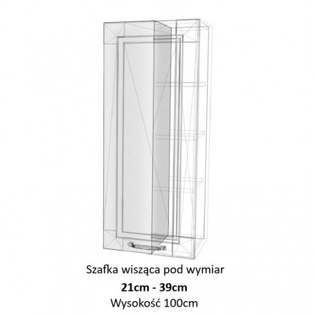 Kam Mono F W21-39.1/100_SPEC Szafka wisząca pod wymiar do 21cm do 39cm